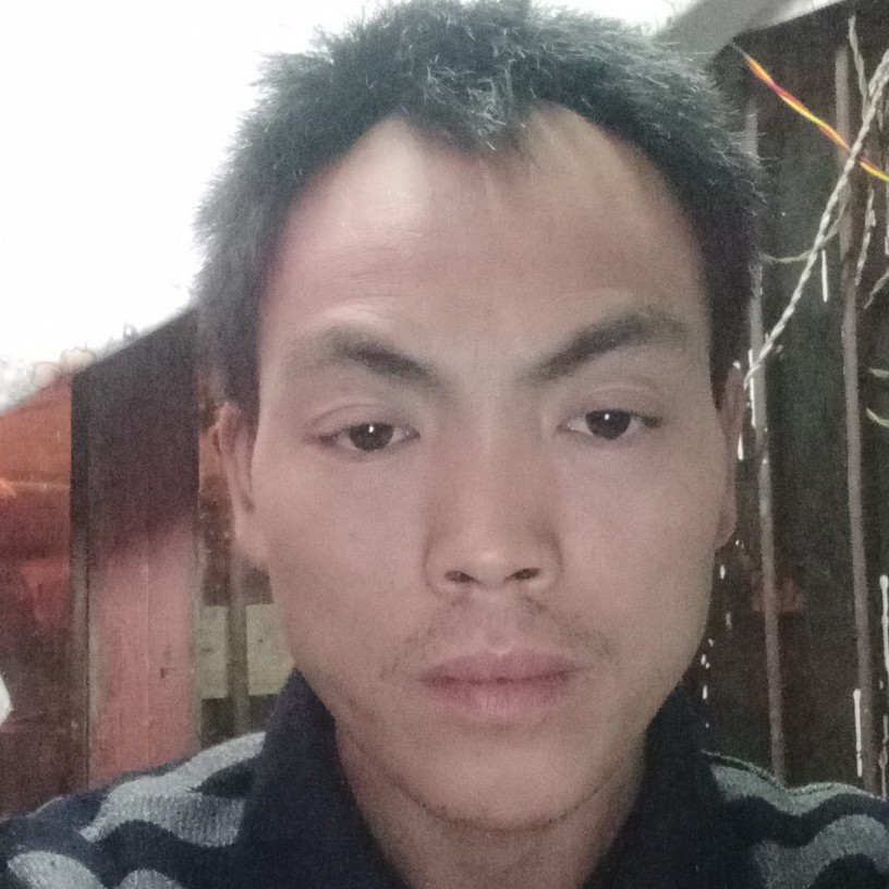 会员803329461的照片