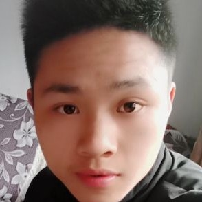 華麗就飞鸟的照片
