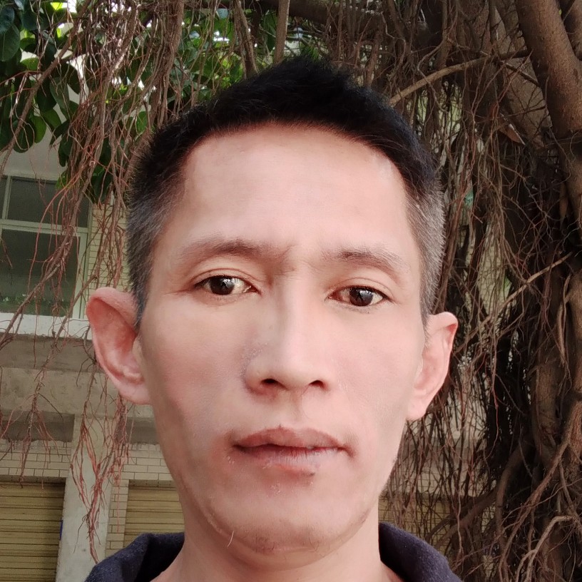 哈密瓜乐观的照片