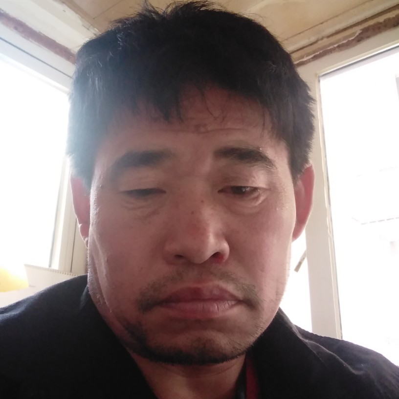 荷花塘的照片