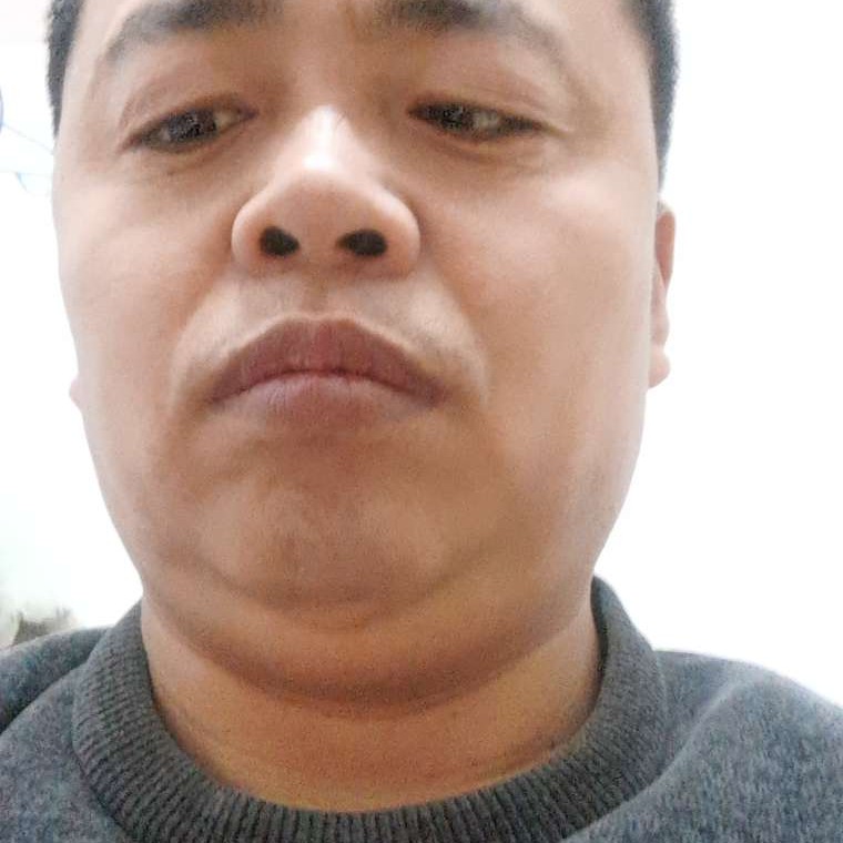 小猫咪挽手独特的照片