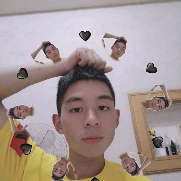 飞鸟踢无情的照片