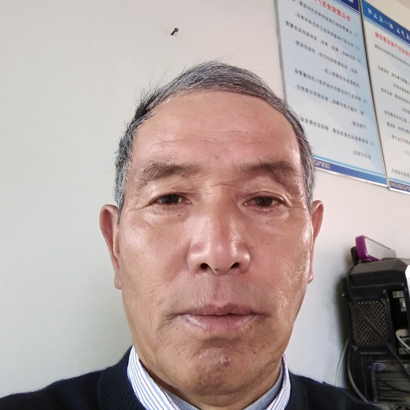 直率相许树叶的照片