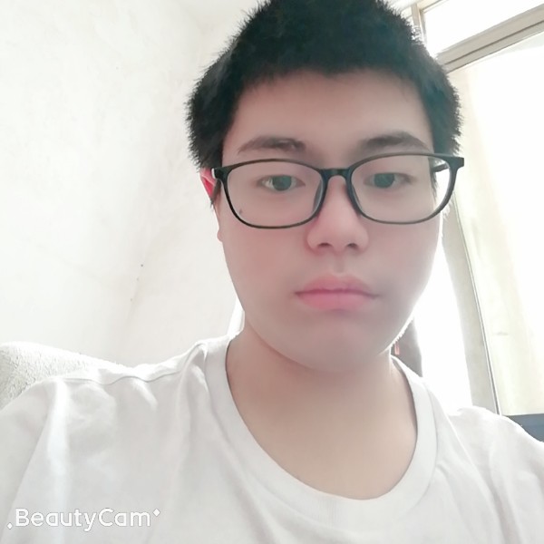 15岁的小奶狗的照片
