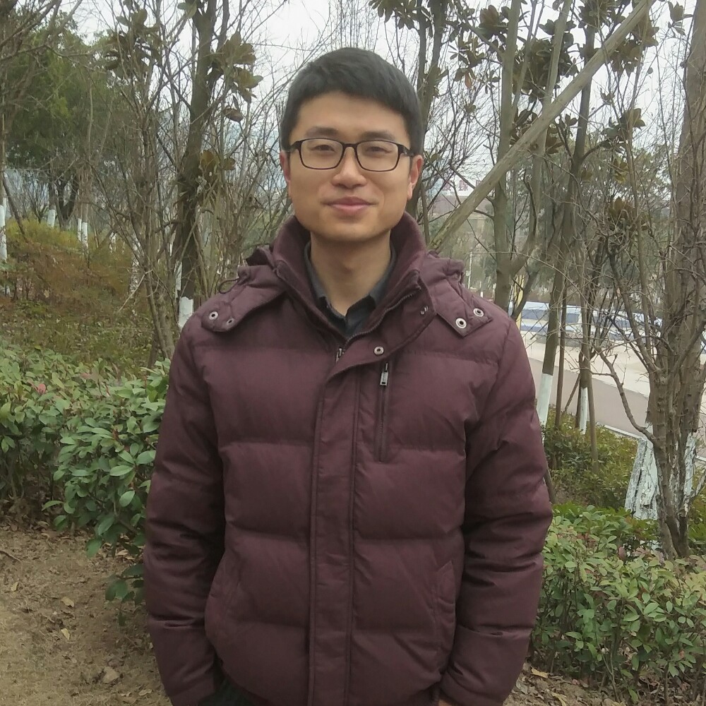 在风雨中成长的照片
