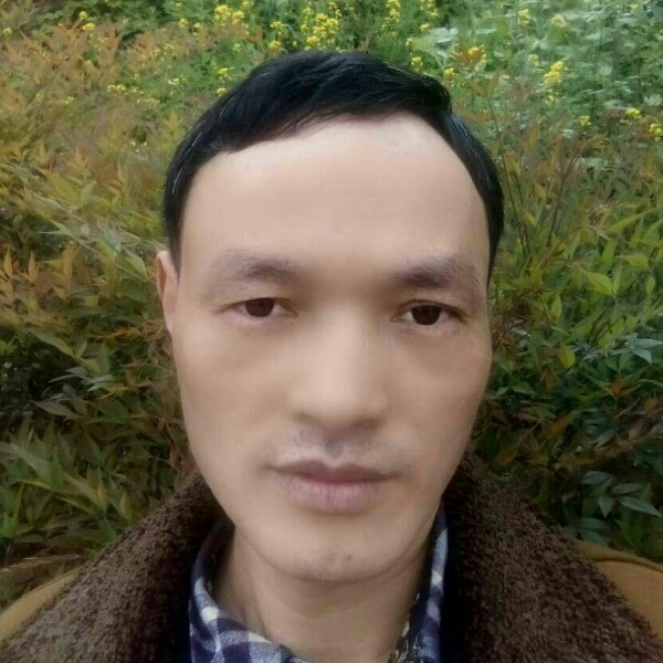 最后的凉面的照片