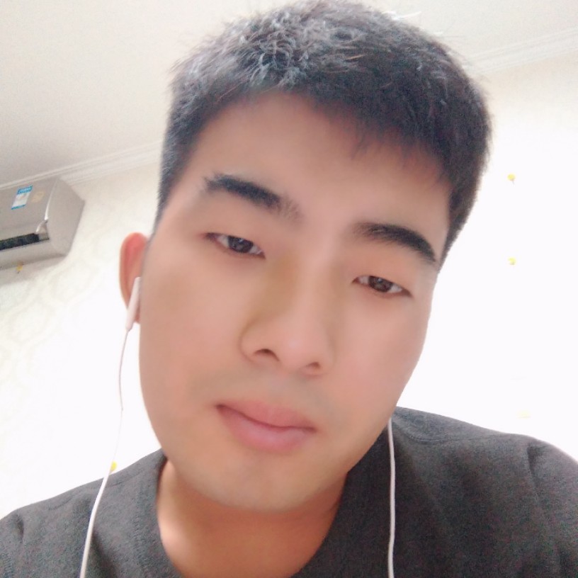 谨慎邂逅斑马的照片
