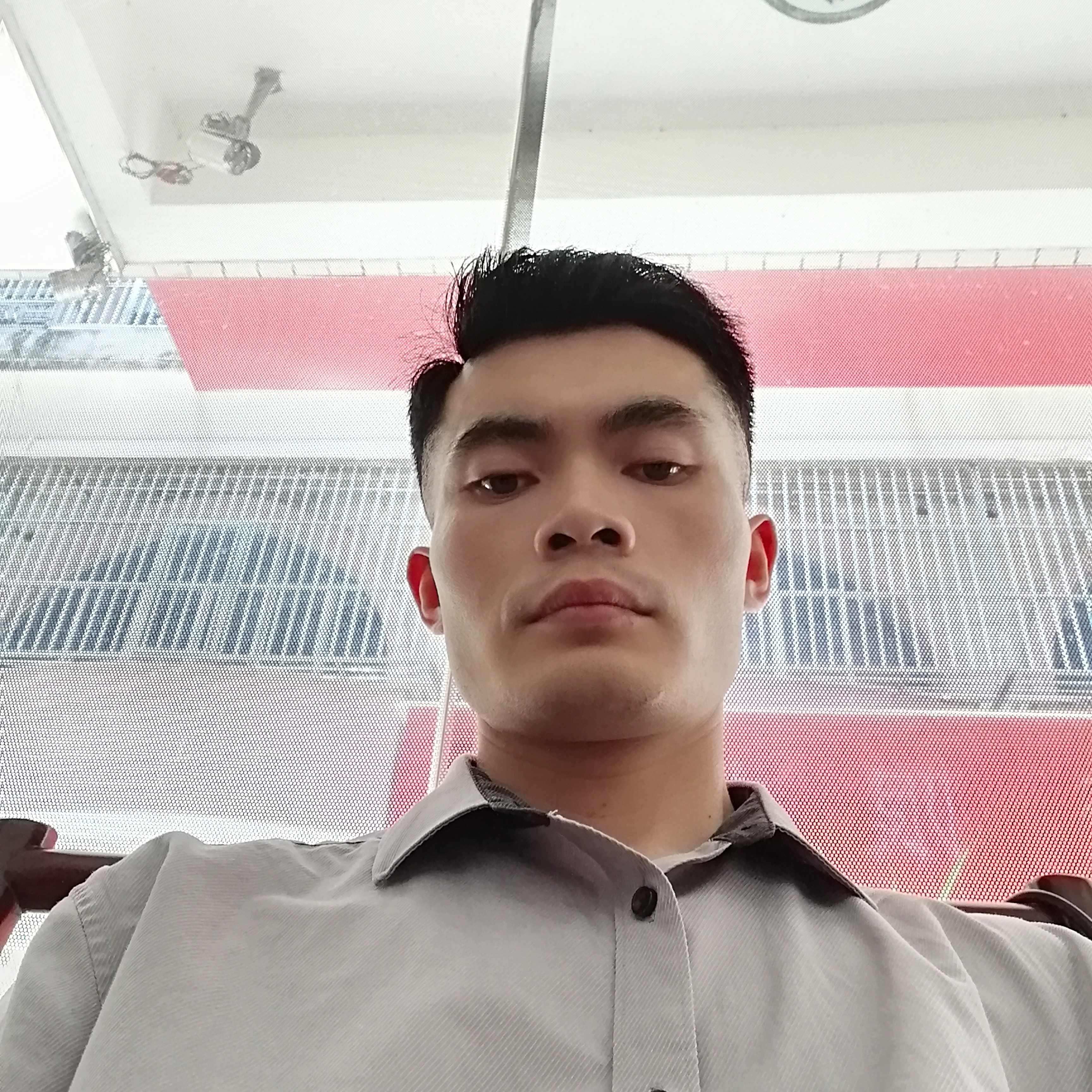 惊鸿等于无情的照片