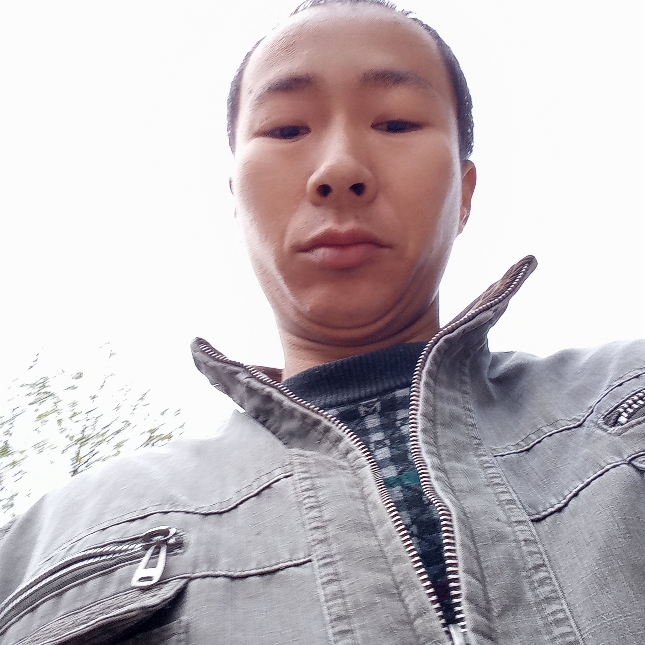 沉默太郎的照片