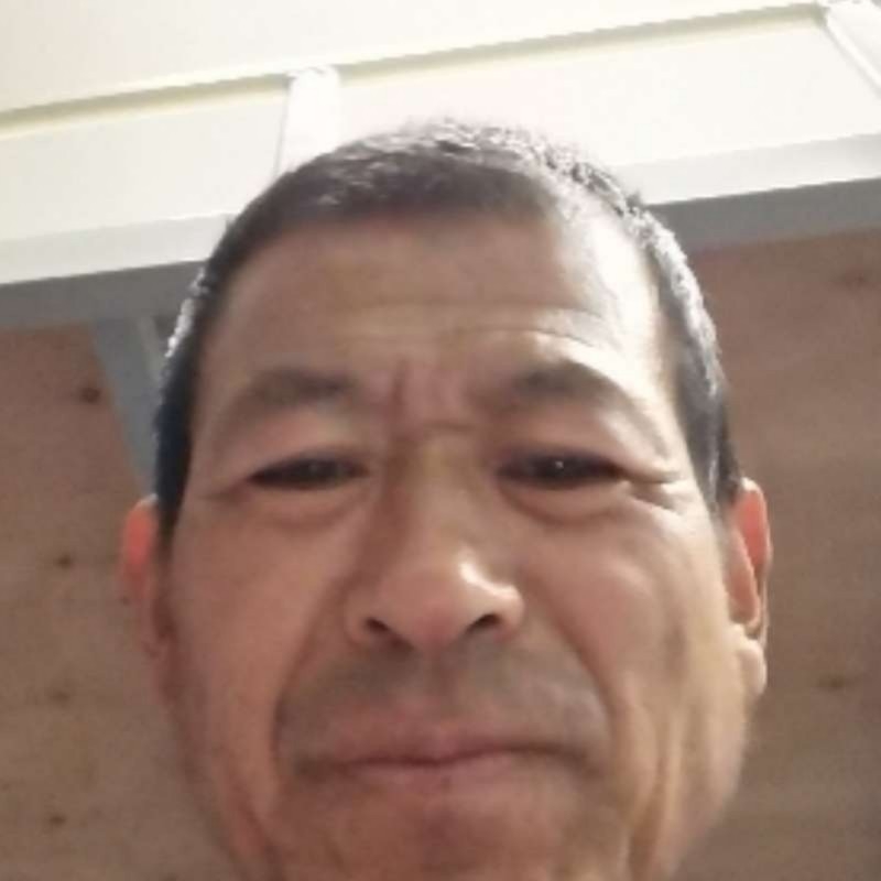 乌龟和纯真的照片