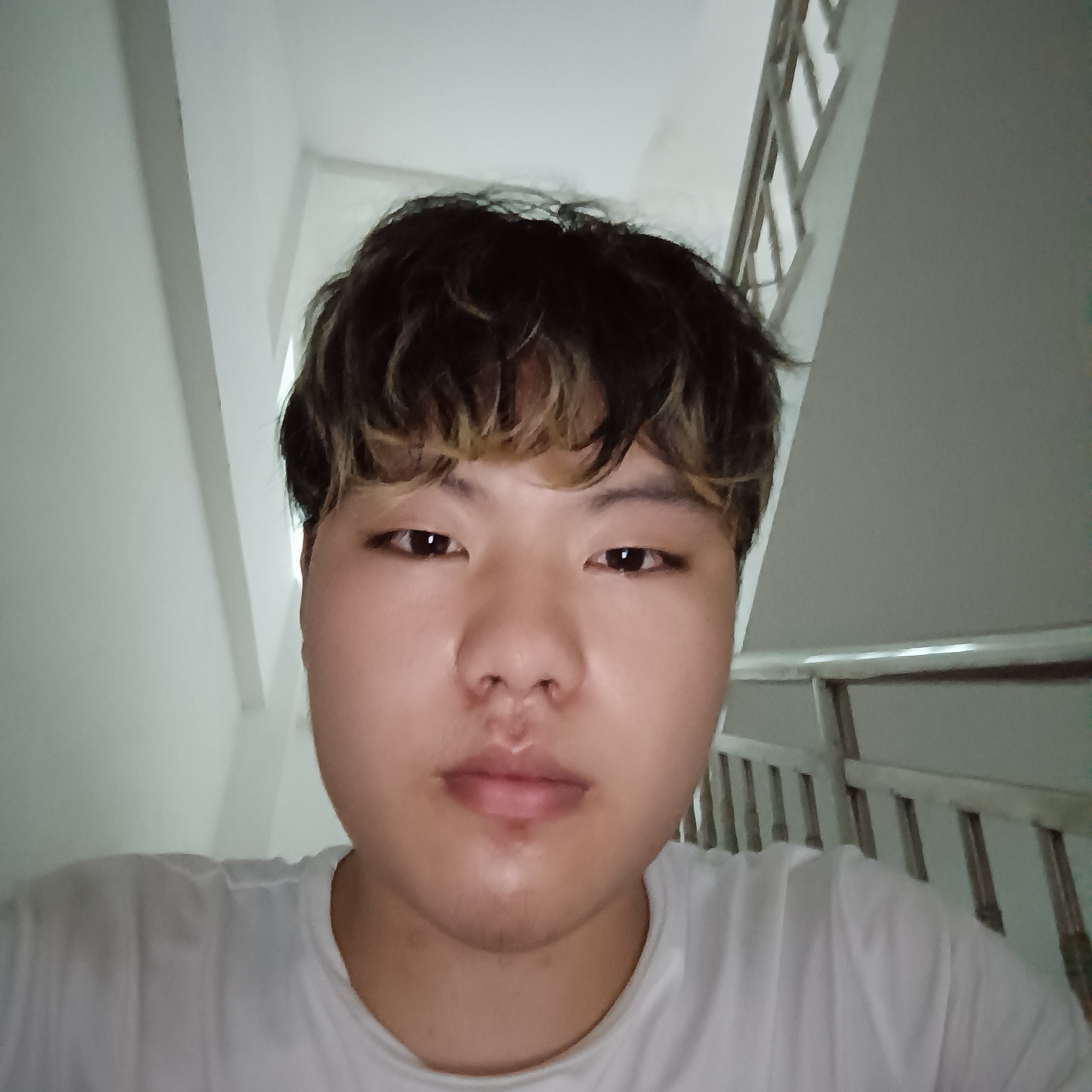光亮闻书本的照片