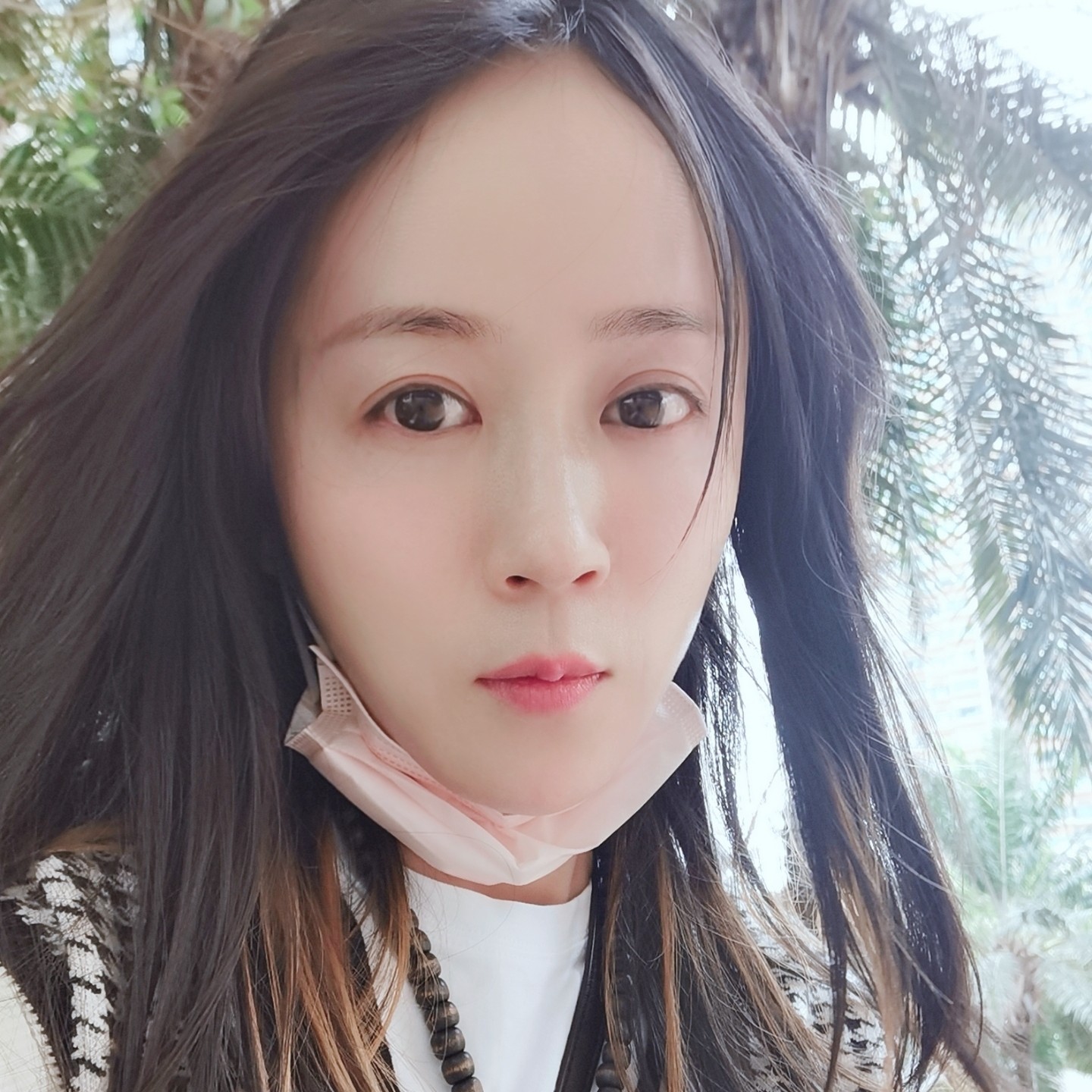 一只大狮子的照片