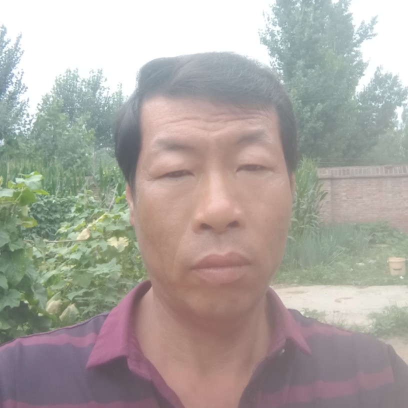 会员526051838的照片