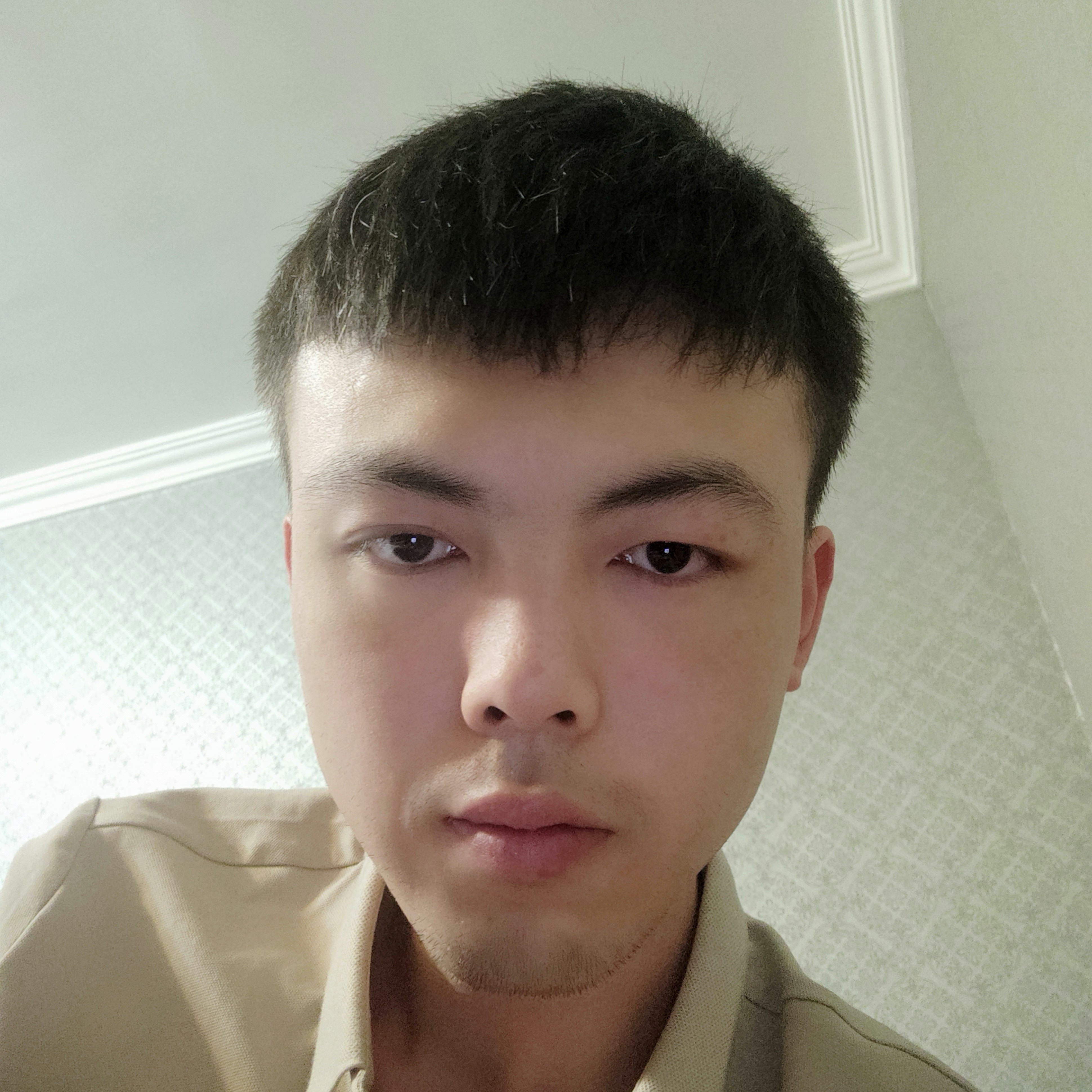 斑驳用兮颜的照片
