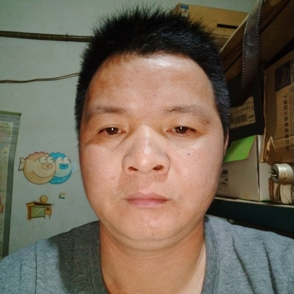 飞龙九天的照片