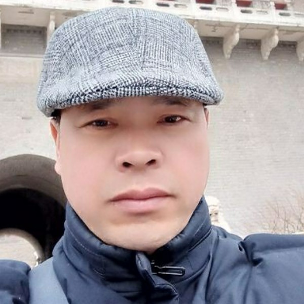 寂寞漫步绿草的照片
