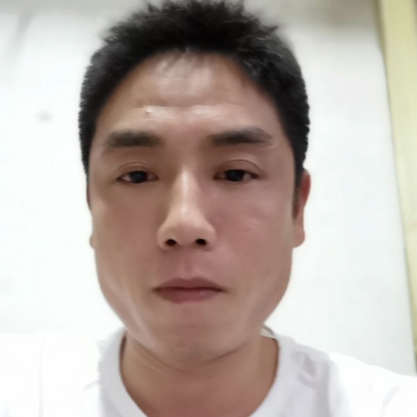 甜蜜方鸵鸟的照片