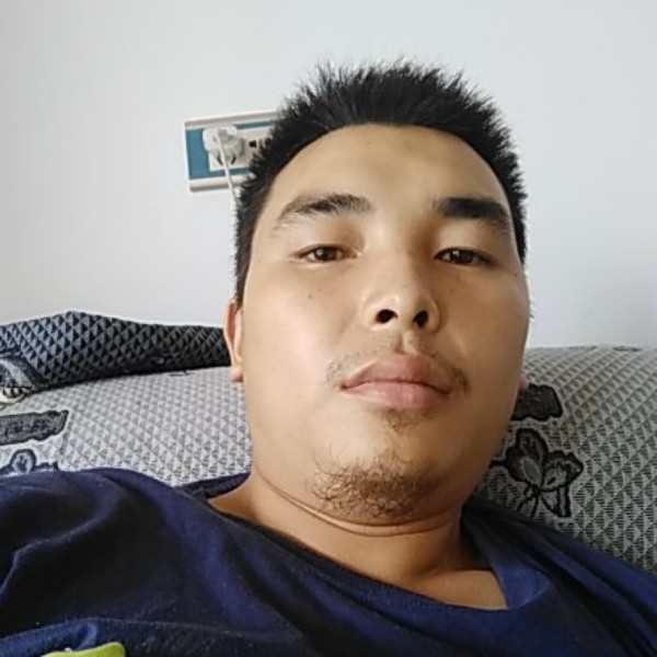 鸭子敏感的照片