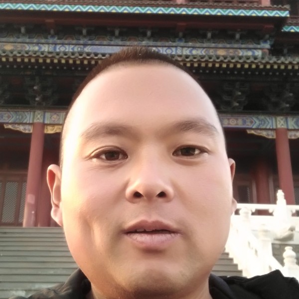 可靠的仙人掌的照片