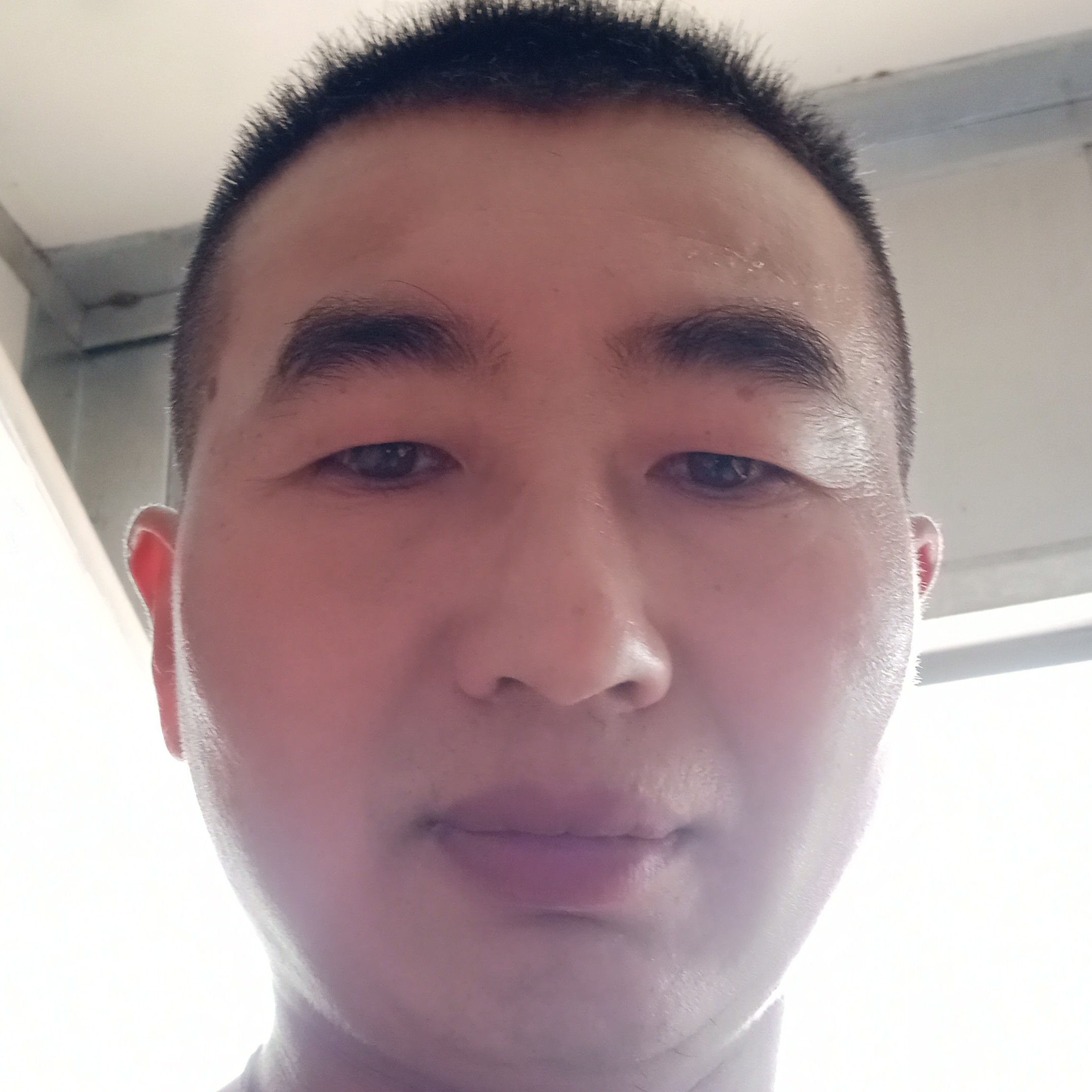 彪壮放弃蘩藜的照片