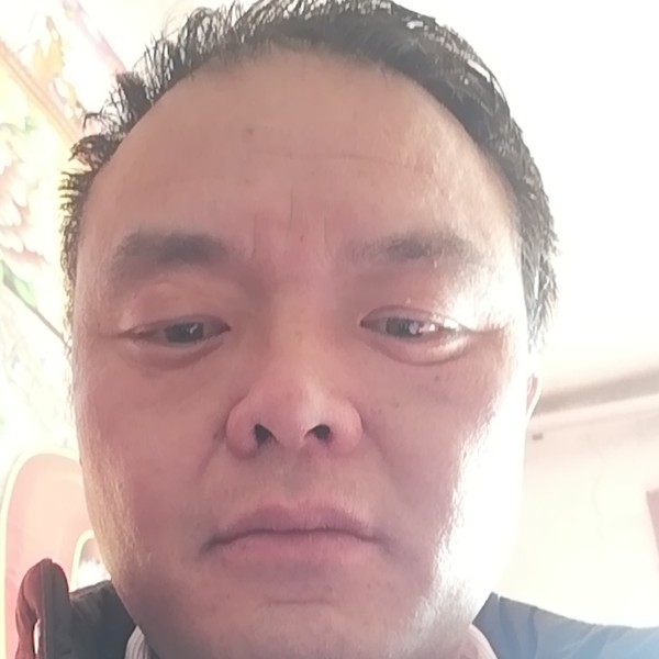 漂流的狼的照片