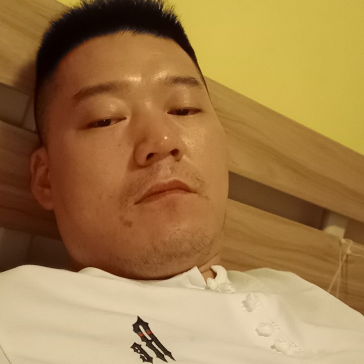 畅快凝眸羊的照片