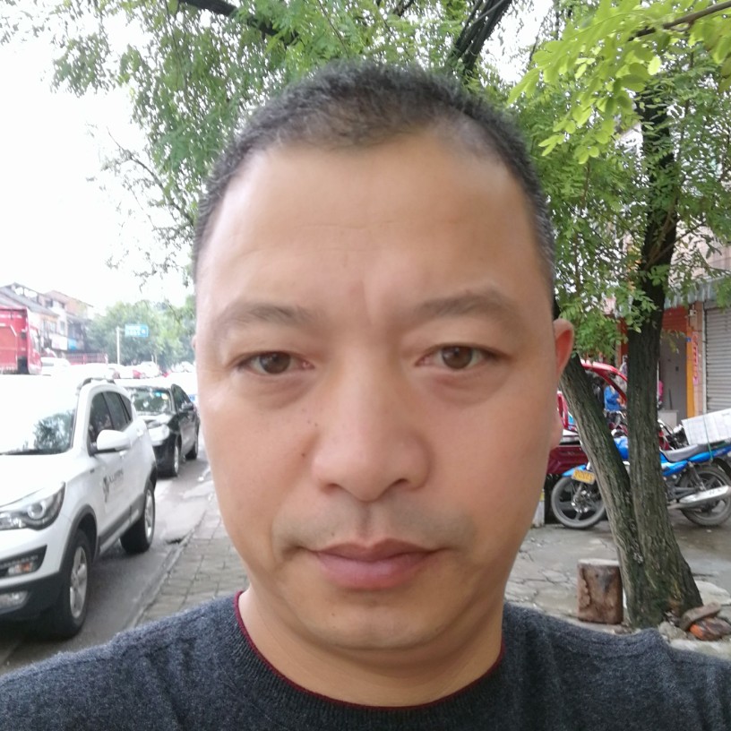 大气仙人掌的照片
