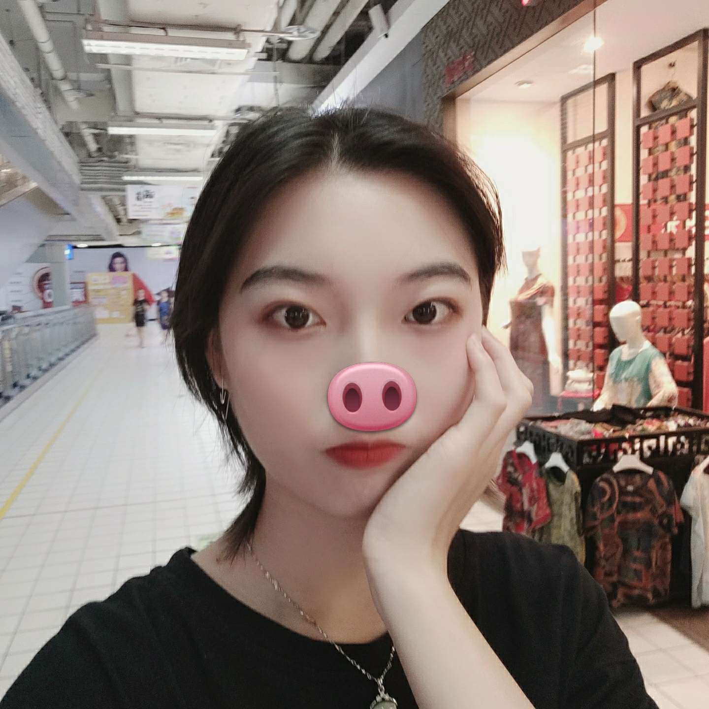 蓝莺的照片