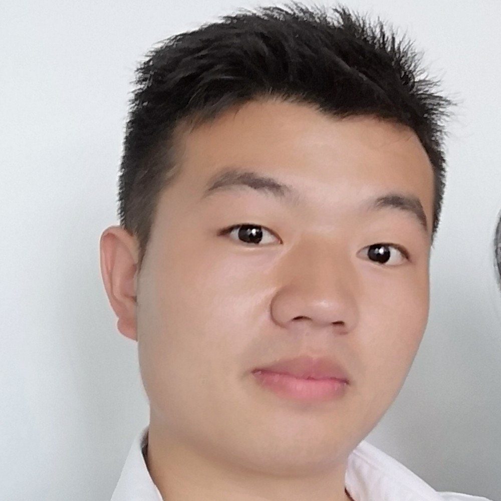 11天天向上11的照片