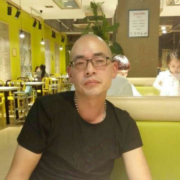 隐忍鸵鸟的照片