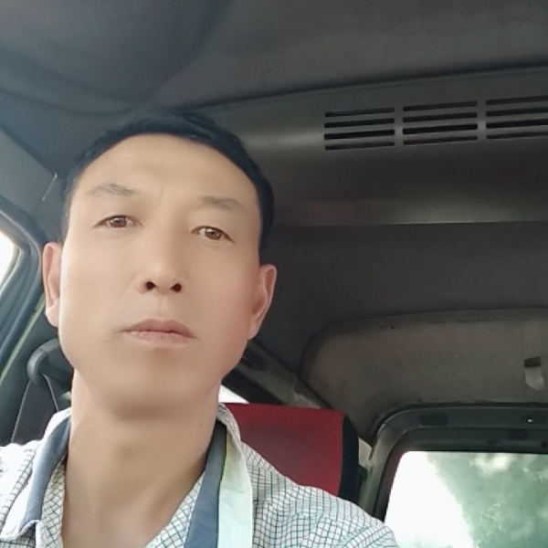 河边垂枊的照片