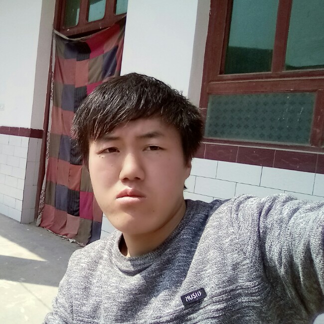 积极小松鼠的照片