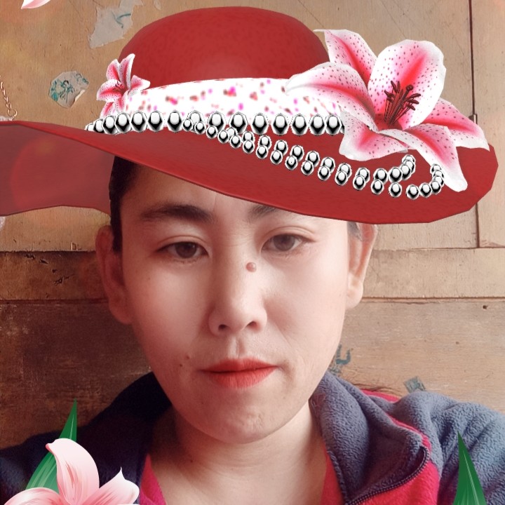 客至的照片