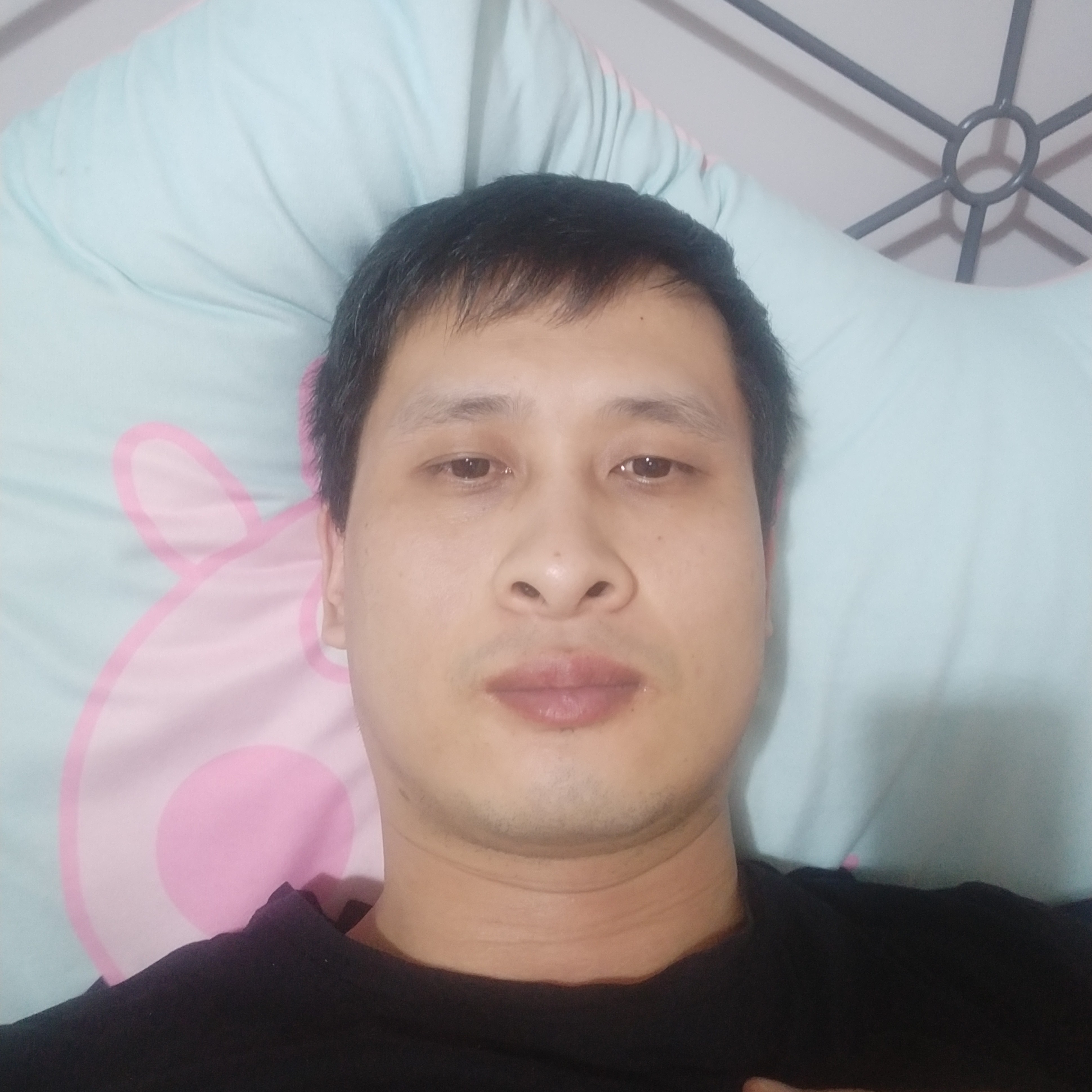 百合苦恋无心的照片