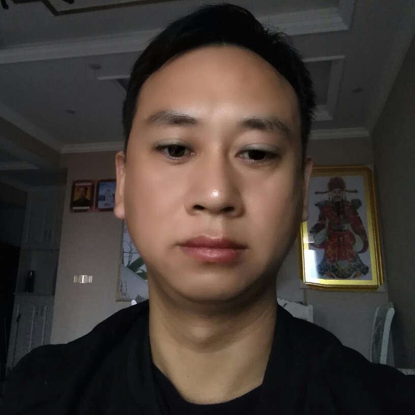 倔强的小草的照片