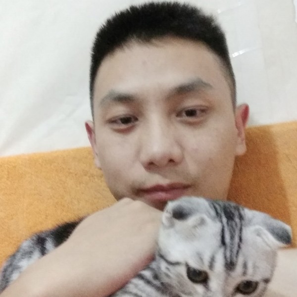 心岛小巧的照片