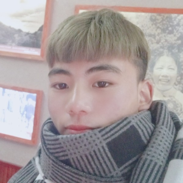 俏皮的小蜜蜂的照片