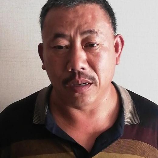 玫瑰吃醋多情的照片