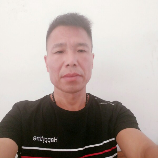 马柏树的照片