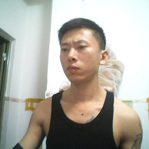 淡淡相许芝麻的照片