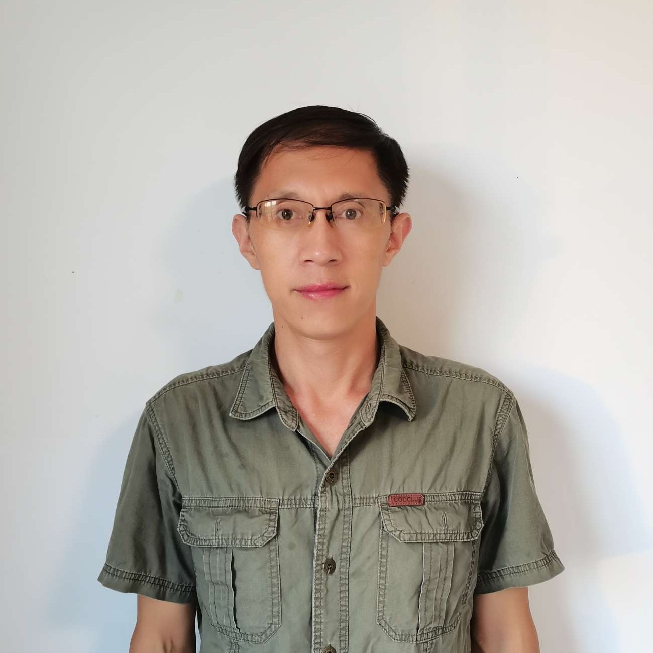 孤独森林狼的照片