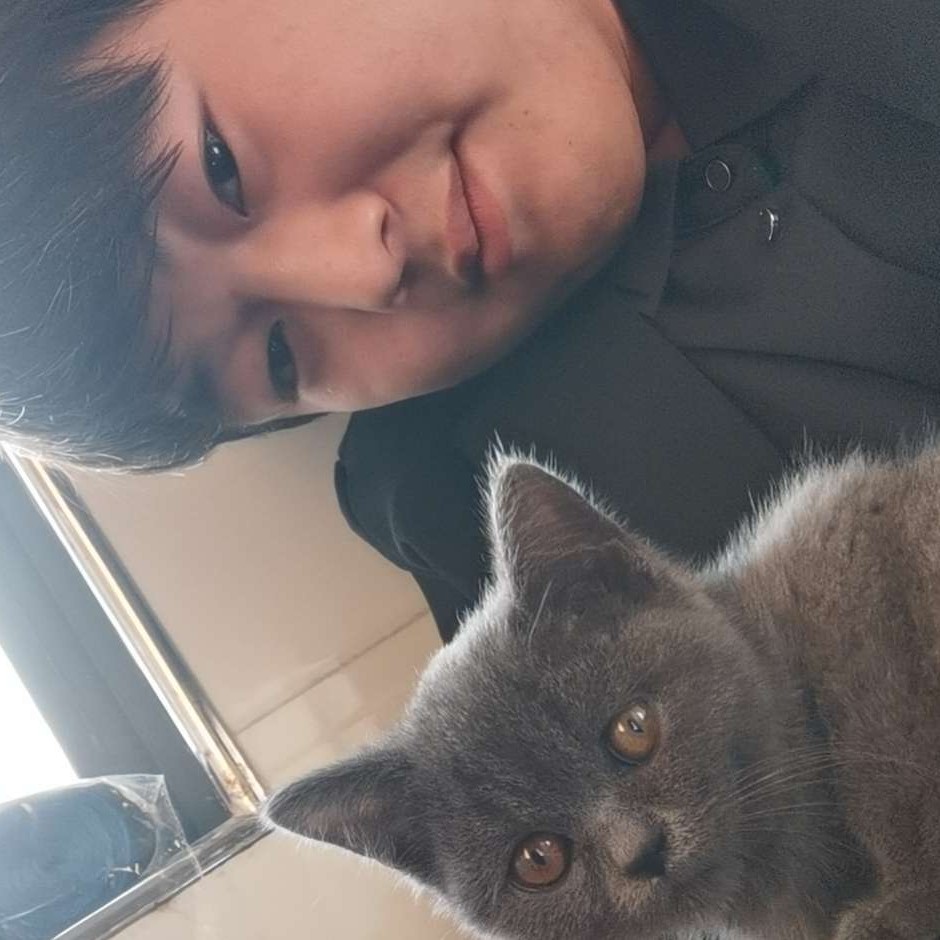 小松鼠等于清秀的照片