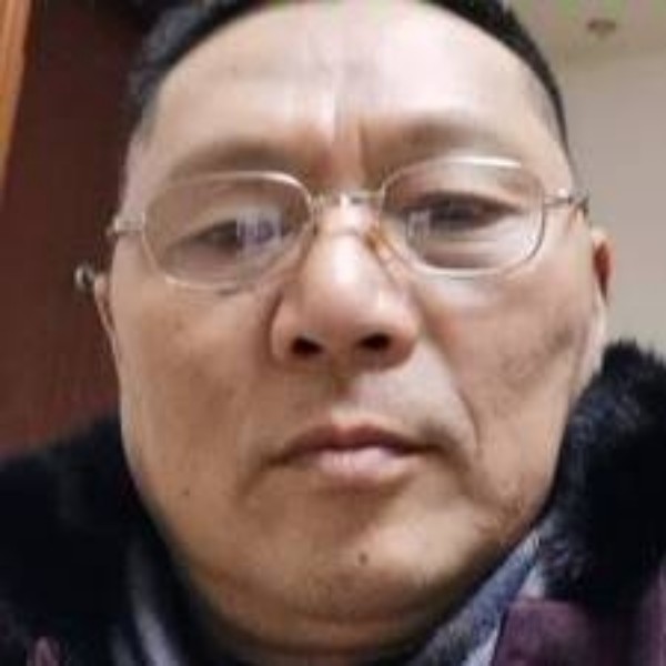 责任心强的兔子的照片
