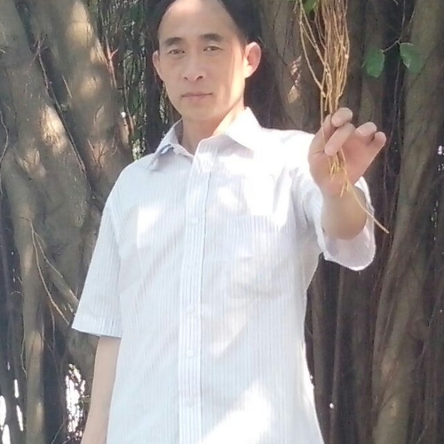 白云云的照片