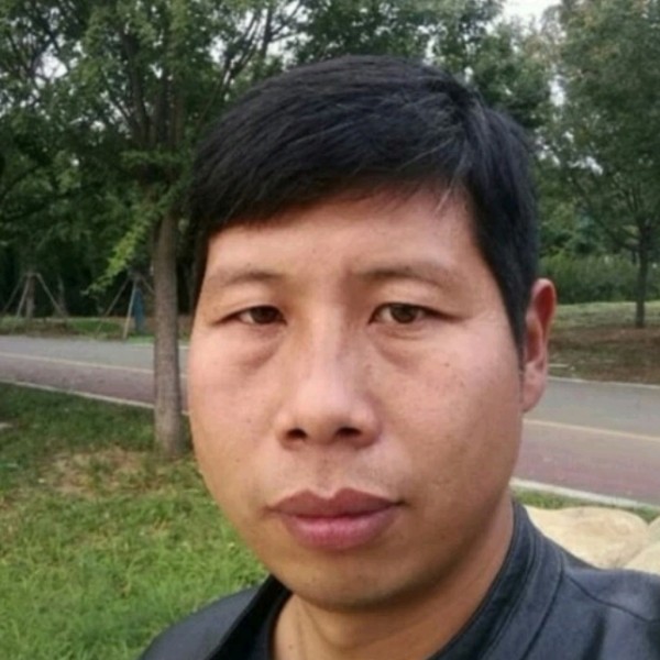 灰狼吃醋含蓄的照片