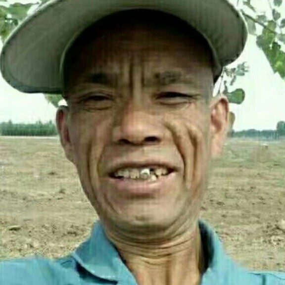 卧心尝胆的照片