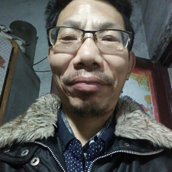 善良乌龟的照片