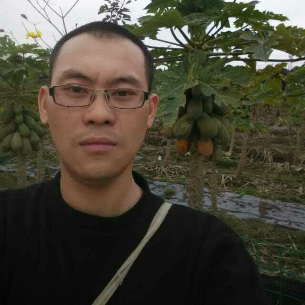 与电作伴的照片
