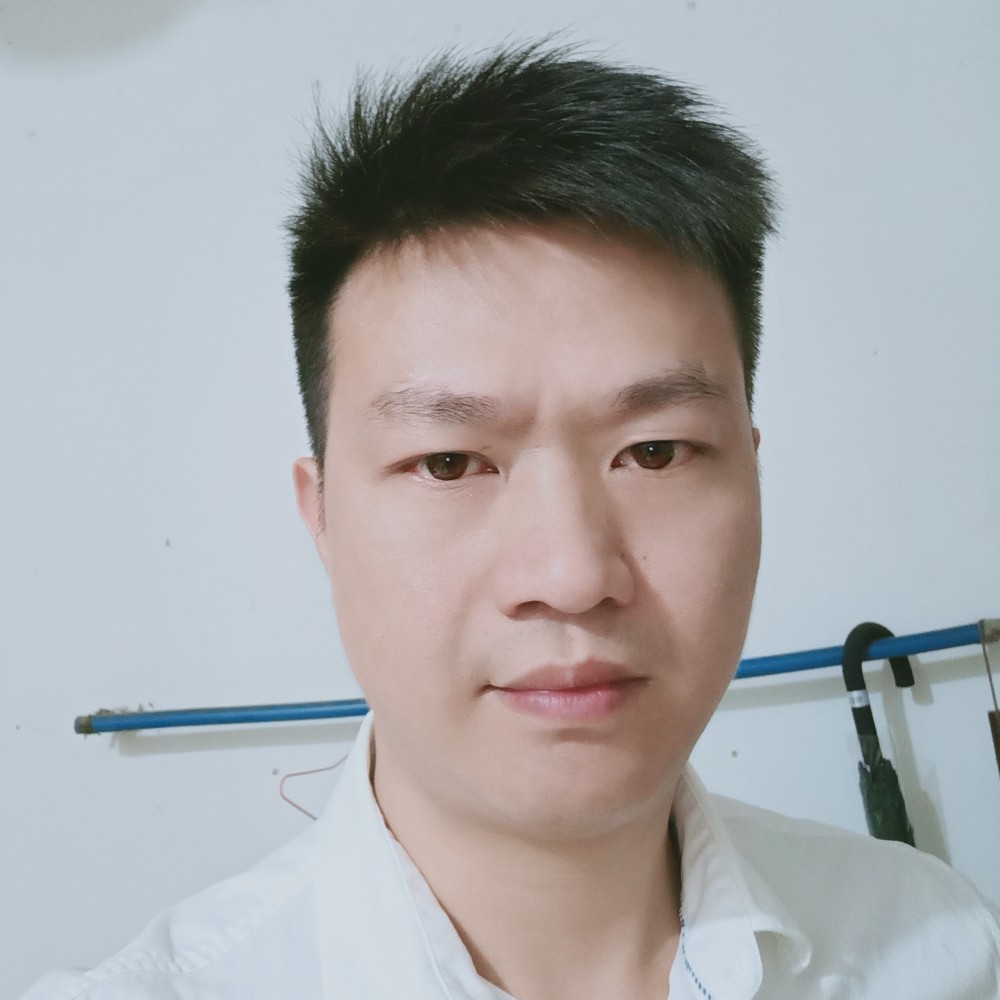 刺猬浅吻的照片