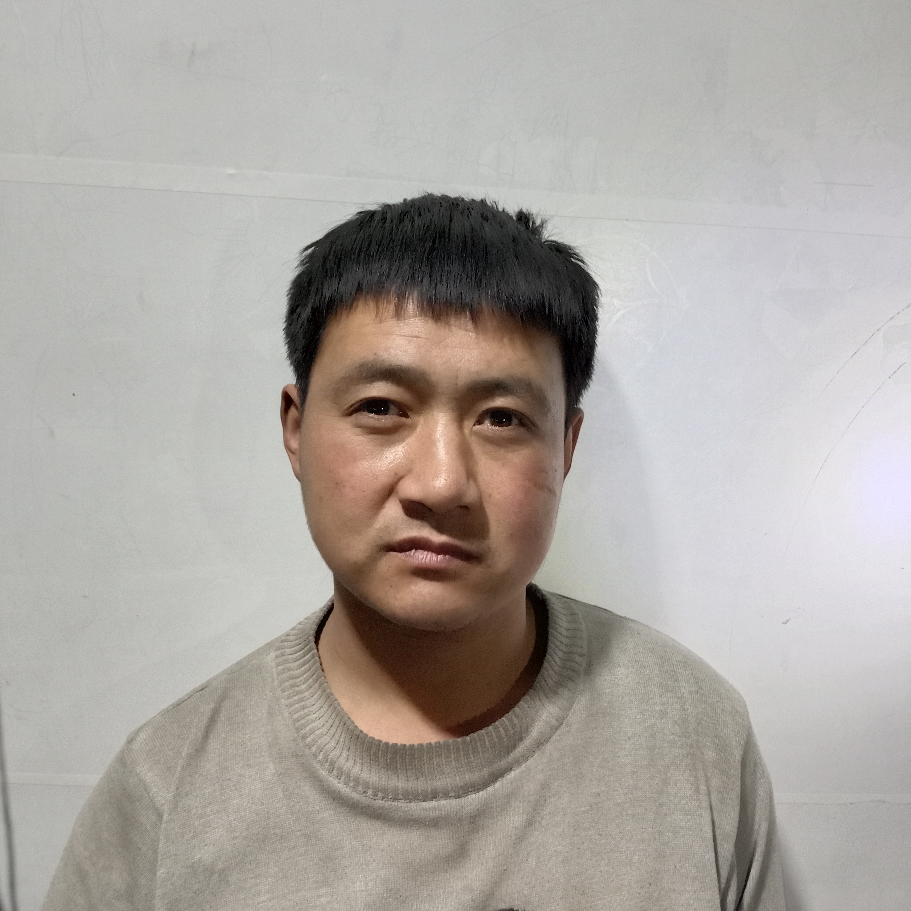 仁爱浅吻玫瑰的照片